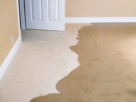 how to fix water damaged carpet
